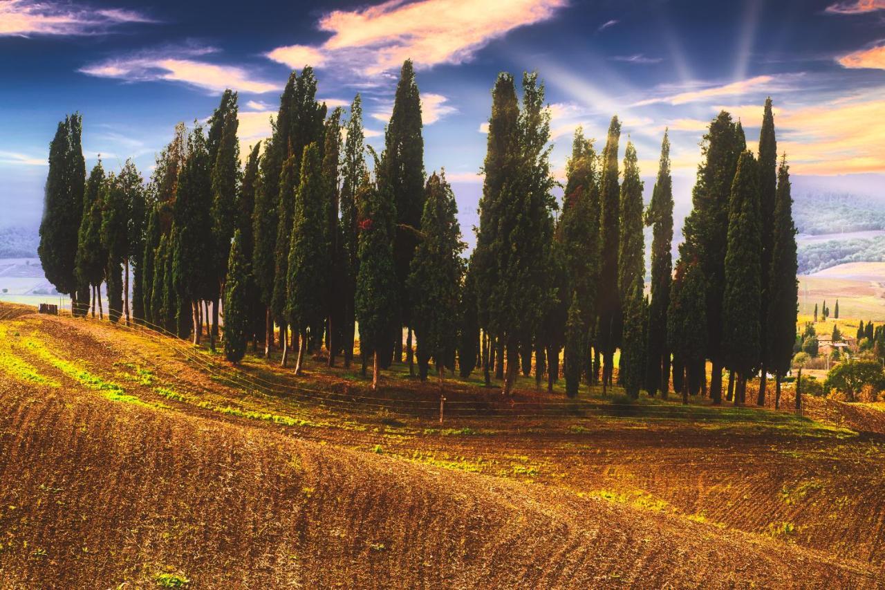Podere Pietreta Radicofani Exterior foto